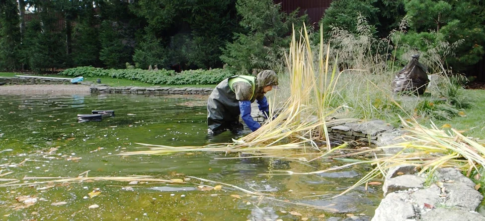 Expert Water Body Cleaning & Maintenance Services