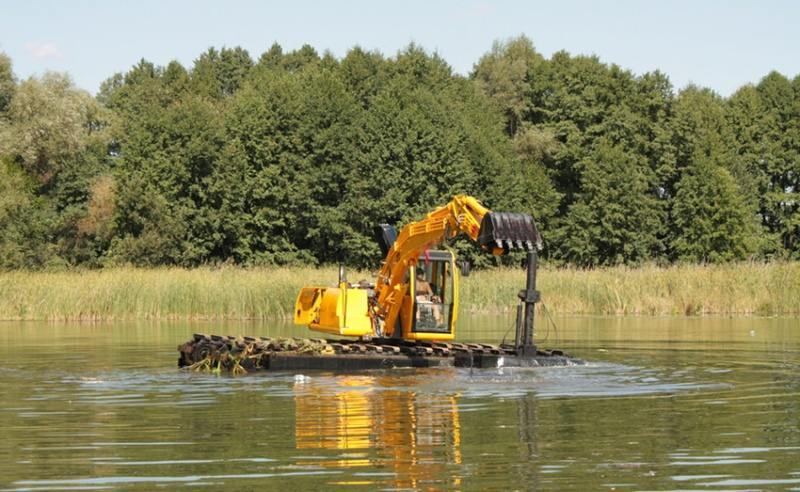 Professional Pond Cleaning and Maintenance Services